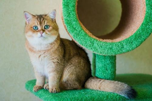 Требуются модели!  Для отработки скорости, ? 02