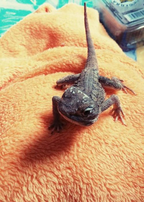 21 июня. Сегодня классный день (даже не смотря на то, что я так не выспалась. 04 21 июня. Сегодня классный день (даже не смотря на то, что я так не выспалась. 04