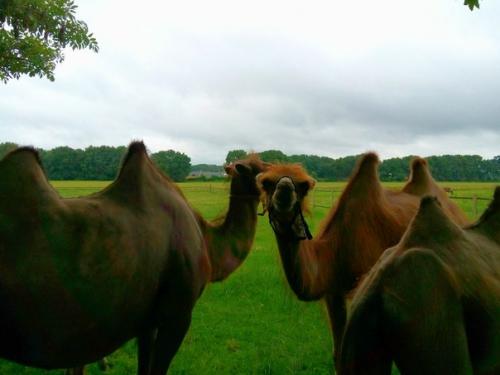 21 июня. Сегодня классный день (даже не смотря на то, что я так не выспалась. 01 21 июня. Сегодня классный день (даже не смотря на то, что я так не выспалась. 01