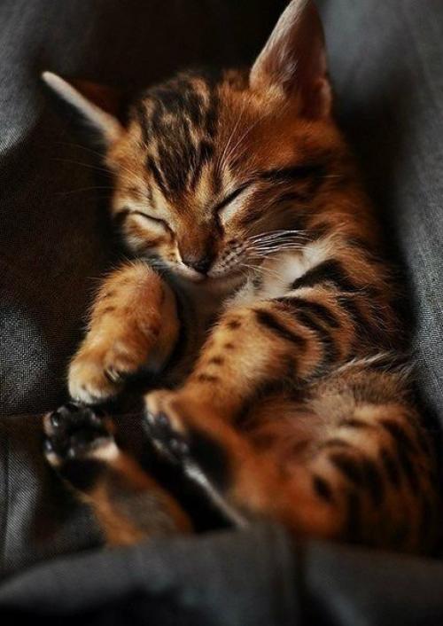 Аквамариновое небо (любить тебя больно - 1. Р. зелиева. 01