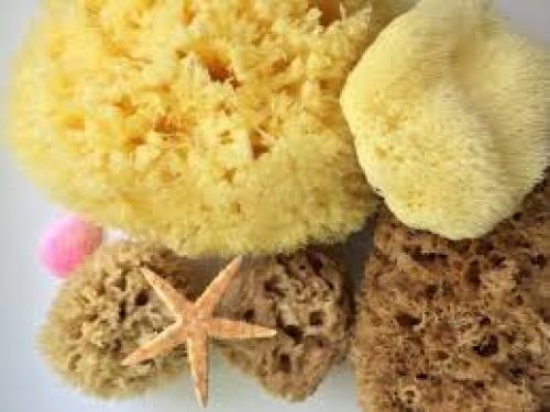 Губка для кожи лица. 05