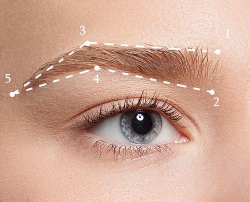 Правильная форма бровей. 01 Правильная форма бровей. 01