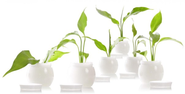 Основные Принципы Ежедневного Ухода ЗА Лицом. Основные Принципы Ежедневного Ухода ЗА Лицом.