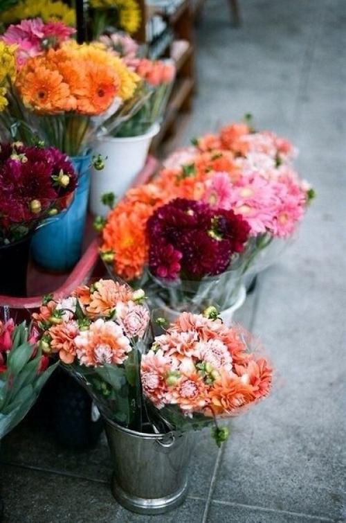 Beauty@Milk_Land. 01 Beauty@Milk_Land. 01