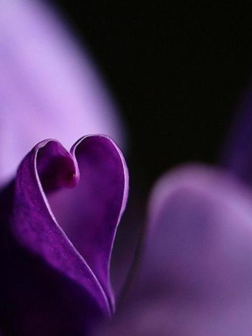 Как пользоваться силой взгляда? 02