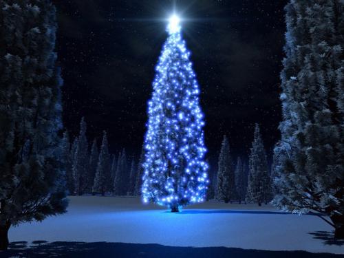 С новым годом! 03 С новым годом! 03