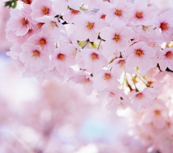 Новый год, новые эксперименты. 01 Новый год, новые эксперименты. 01