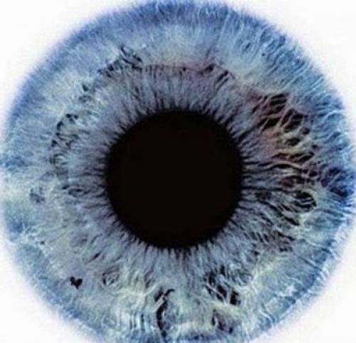 А какой цвет глаз у вас? 03