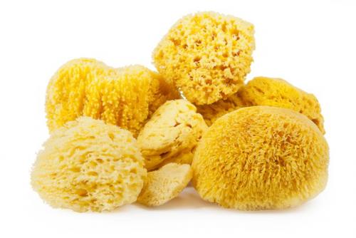 Сохраняй себе, чтобы не потерять. 01 Сохраняй себе, чтобы не потерять. 01