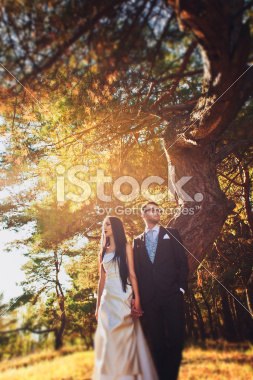 Википедия говорит, что осень - это одно из четырёх времен года, между летом и зимой. 06