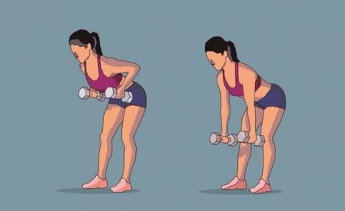 5 лучших упражнений для тренировки спины дома. 03 5 лучших упражнений для тренировки спины дома. 03