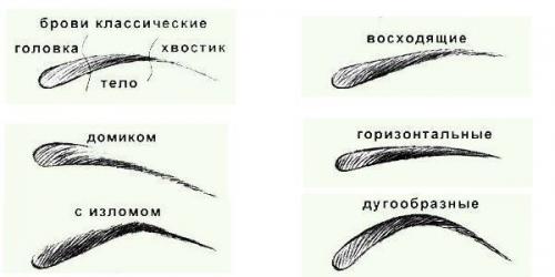 Форма бровей по типу лица. 01 Форма бровей по типу лица. 01