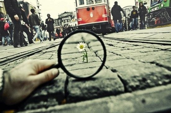 Влияние грехов и ослушания---О рабы Аллаха, бойтесь Аллаха и повинуйтесь Ему, помните о Нем в тайном и явном и не ослушивайтесь Его.