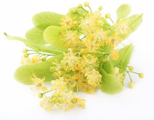 Лучшие рецепты для борьбы с гриппом и поднятия иммунитета. 09