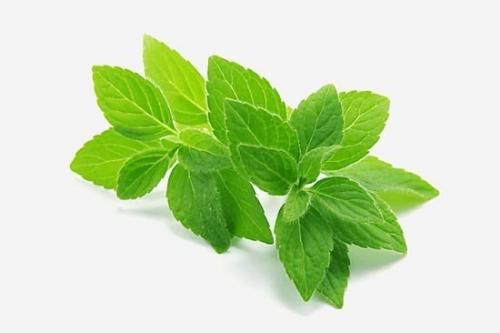 Лучшие рецепты для борьбы с гриппом и поднятия иммунитета. 03