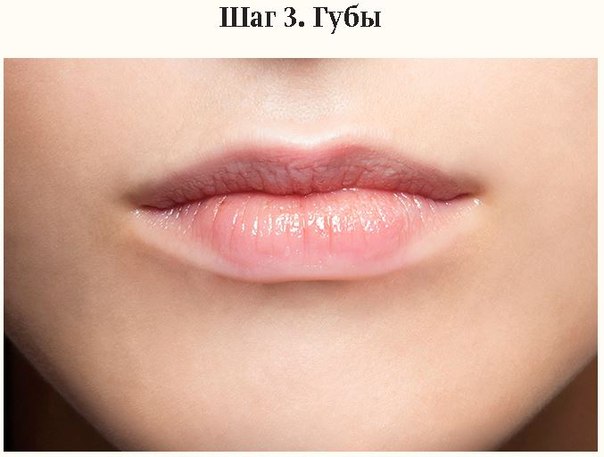 Правила создания nude-макияжа. 03 Правила создания nude-макияжа. 03