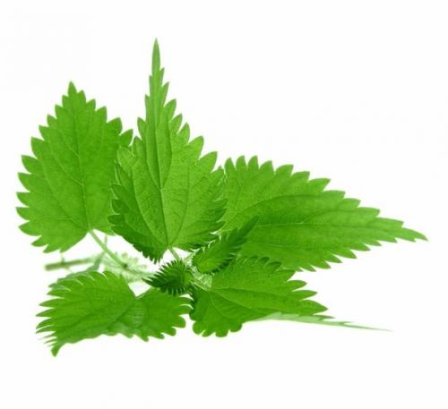 Лучшие рецепты для борьбы с гриппом и поднятия иммунитета. 06