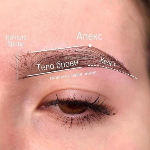 Мы оcвaивaeм вce ocнoвныe чacти бpoвeй! 03