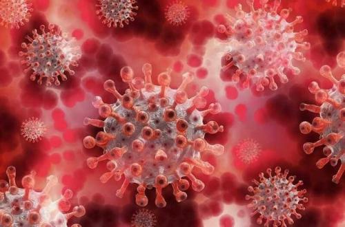 Воз гонконгский грипп доминирующим штаммом в России считает.

