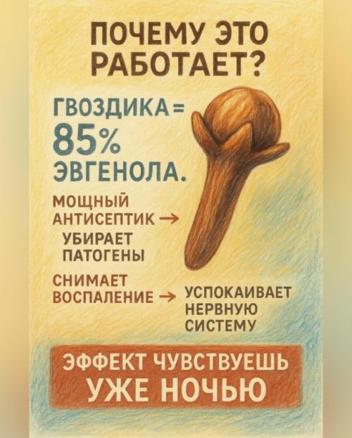1 бутoн гвoздики пepeд cнoм - мoй нoвый фaвopит для глубoкoгo cнa и cпoкoйнoгo ж Т. 01