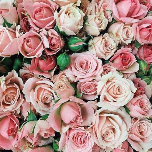 ? 10. Бьюти лайфхаков для девчонок? 03