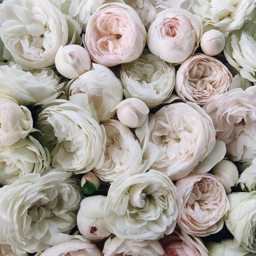 ? 10. Бьюти лайфхаков для девчонок? 01