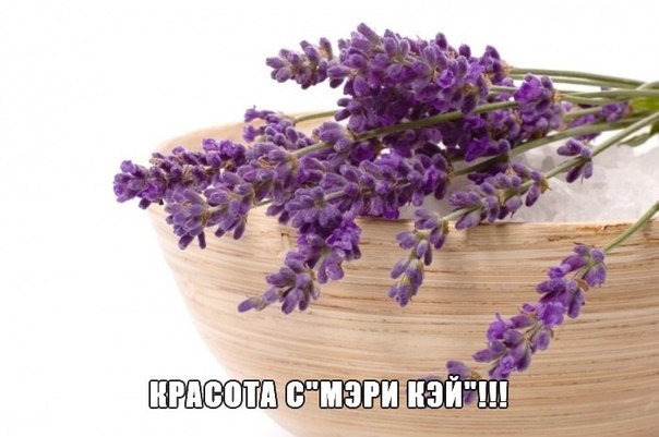 Увлажняющий Востанавливающий Тоник ДЛЯ Лица Таймвайз И ЕГО Компоненты. 02 Увлажняющий Востанавливающий Тоник ДЛЯ Лица Таймвайз И ЕГО Компоненты. 02