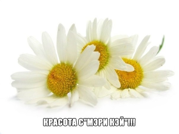 Увлажняющий Востанавливающий Тоник ДЛЯ Лица Таймвайз И ЕГО Компоненты. 03 Увлажняющий Востанавливающий Тоник ДЛЯ Лица Таймвайз И ЕГО Компоненты. 03