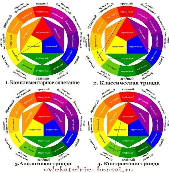 Круг цветов для одежды программа для смартфона