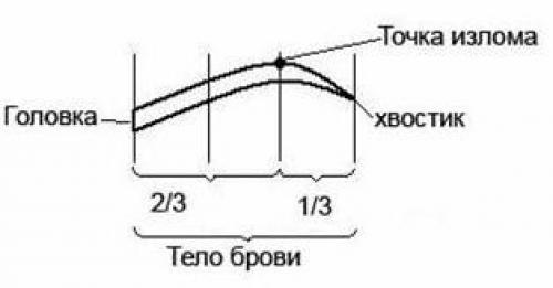 Когда клиентка приходит на перманентный макияж бровей, одним из первых моментов является предварительный эскиз работы. 02