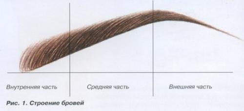 Когда клиентка приходит на перманентный макияж бровей, одним из первых моментов является предварительный эскиз работы. 01