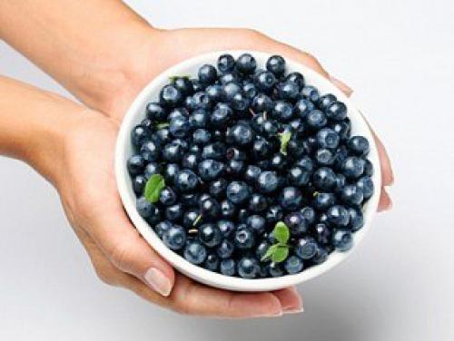 Черника.  Главное богатство черники - это антиоксиданты. 05