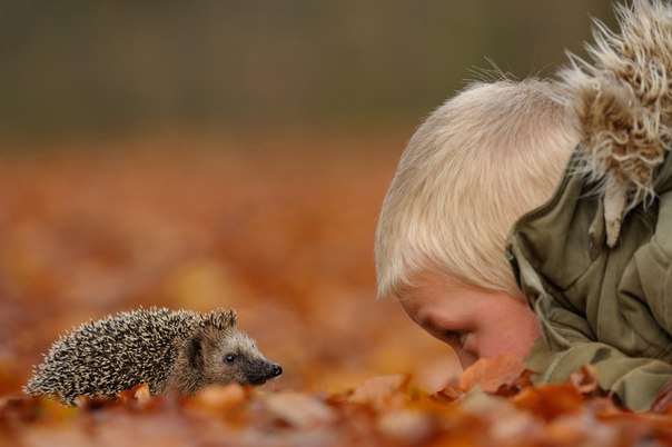 Как фотографировать правильно: советы начинающему известному фотографу. 03 Как фотографировать правильно: советы начинающему известному фотографу. 03