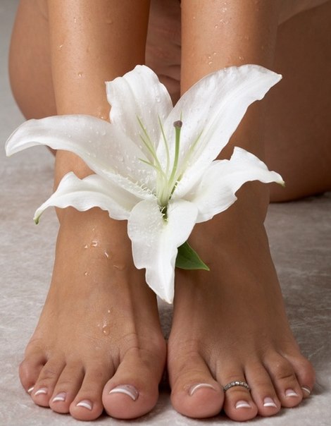 Оливковое масло Alobon - универсальное натуральное косметическое средство высокого качества, полученное из чистого масла, то есть, иными словами, не имеющее никаких примесей, обьем 100 мл. 03