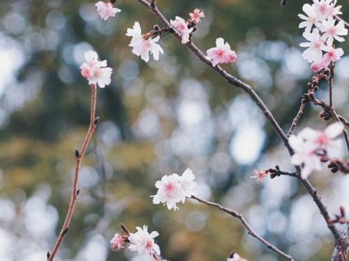 Что такое гидрофильное масло? 02 Что такое гидрофильное масло? 02