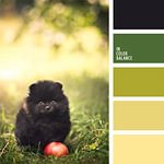 Однажды, будучи в гостях у своей знакомой, обнаружила на ее белом столике в комнате высокую груду косметики и множество всевозможных коробочек, разнообразных карандашей и прочих предметов Декоративки (так знакомая называет декоративную косметику. 02