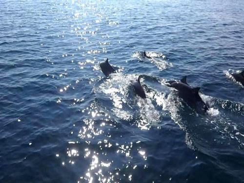 На Филиппинах мы прожили около 10 месяцев, пришло время подвести итоги. 08