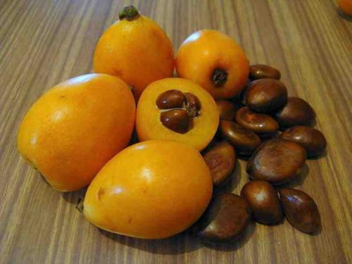 Масло мушмулы. Масло косточек мушмулы (мишмулы) Eriobotrya Japonica, 50 мл.