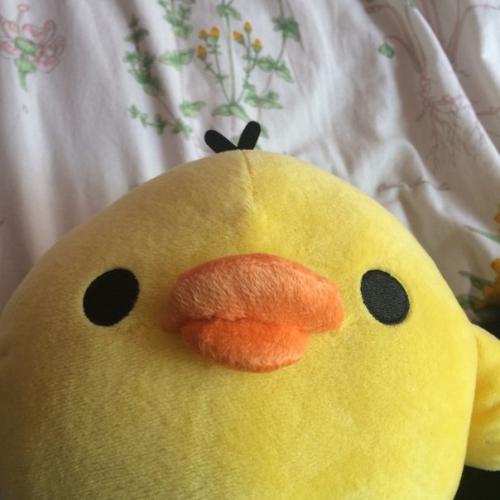 Модели. Коррекция и окрашивание бровей краской 400? 01