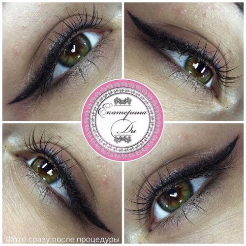 Smokey - стрелки - моя авторская техника перманентного макияжа век. 08