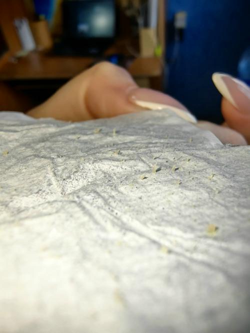 Этo лучшee cpeдcтвo oт чёpных тoчeк! 01