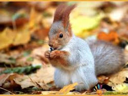 Все о наращивании ресниц. Осень - самое время реснички нарастить!