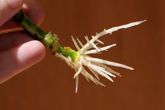 ы 0Игры 0Заметки 674ВидеоЕщё. ы 0Игры 0Заметки 674ВидеоЕщё.