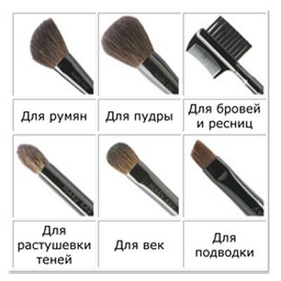 Милые красавицы. А вот и памятка и для Вас. 05 Милые красавицы. А вот и памятка и для Вас. 05