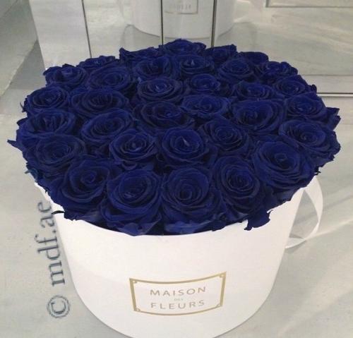 Чеширские кисы?  На носу февраль? 02