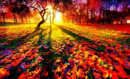 Таким образом, если летом? 04 Таким образом, если летом? 04