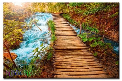 Мы замедляем процессы старения. 01