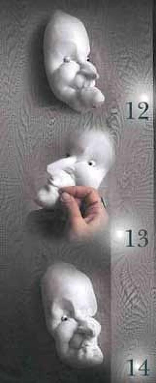 Мастер-класс от Ольги Андриановой. 06