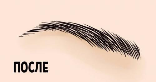 Любить своё дело и посвящать ему всю себя? 02