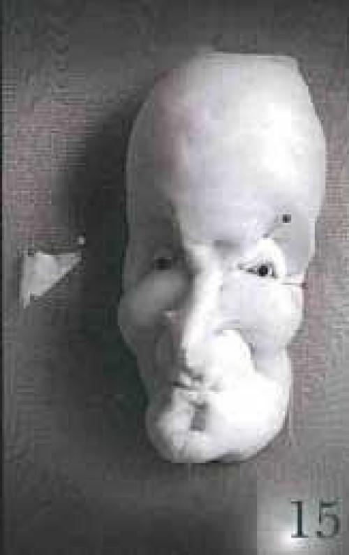 Мастер-класс от Ольги Андриановой. 07